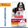 Chien Adult Medium Poulet