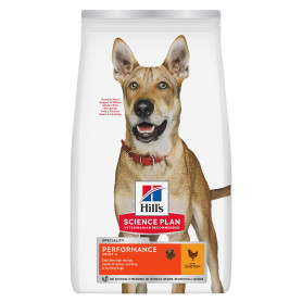 Chien Adult Performance