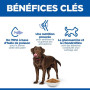 Canine Adult Healthy Mobility Large Breed Poulet
