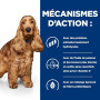 Chien Z/D Food Sensitivities Activ Biome+ Boîte