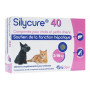Silycure 40mg