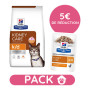 Pack Hill's Prescription Diet K/D Kidney Croquettes pour Chat au Poulet 8 kg avec 12 sachets