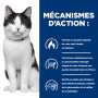 Chat j/d Metabolic + Mobility Poulet