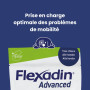 Flexadin Advanced Boswellia