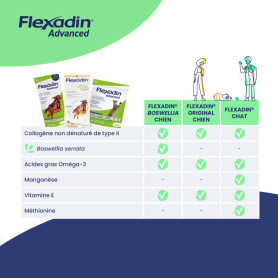 Flexadin Advanced Chat