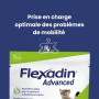 Flexadin Advanced Chat