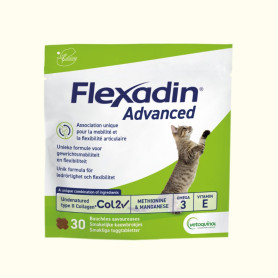 Flexadin Advanced Chat