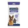 Stick pour l'articulation des chiens adultes