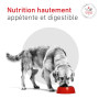 Dog Glycobalance Low Carbohydrate mousse Boîte
