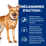 Chien I/D Digestive Care Dinde