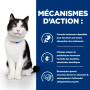 Chat I/D Digestive Care Activ Biome+ Poulet