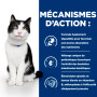 Chat I/D Digestive Care Activ Biome+