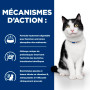 Chat I/D Digestive Care Activ Biome+ Mijotés