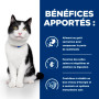 Chat I/D Digestive Care Activ Biome+ Mijotés
