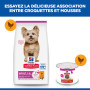 Chien Adult Small & Mini Mousse Poulet Boîte