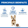 Chien Adult Small & Mini Mousse Poulet Boîte