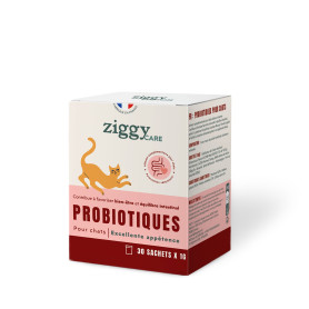 Ziggy probiotiques Chat