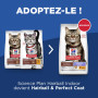 Chat Adult 1+ Hairball & Perfect Coat Poulet