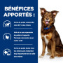 Chien Metabolic Mijotés Poulet & Légumes