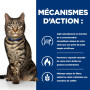 Chat Metabolic Poisson Sachet Repas