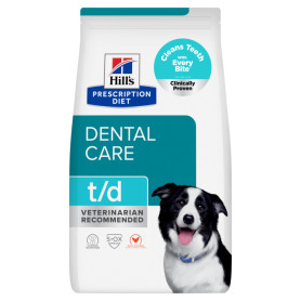 Chien T/D Dental
