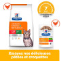 Chat C/D Urinary Stress + Metabolic Sachet Repas