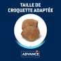 Advance Active Defense Chien Light Maxi Poulet