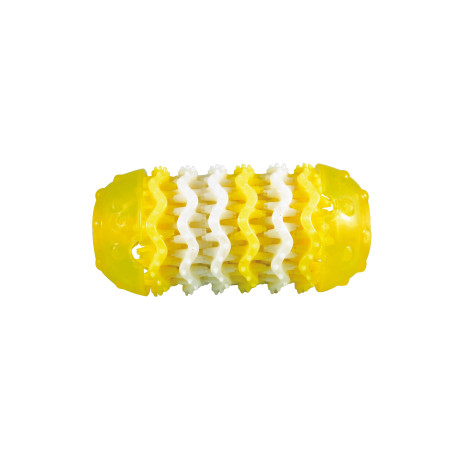 Jouet chien Pop : Dental Toy