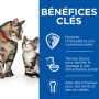 Chat Kitten and Mother Mousse Poulet & Dinde