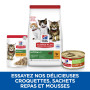Chat Kitten and Mother Mousse Poulet & Dinde