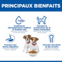 Chien Puppy Small&Mini Poulet