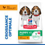 Chien Puppy Medium Poulet