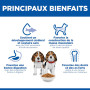 Chien Puppy Medium Poulet