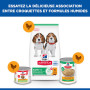 Chien Puppy Medium Poulet
