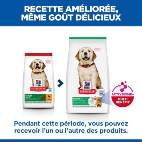 Canine Puppy Large Breed Poulet