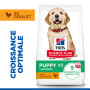 Canine Puppy Large Breed Poulet