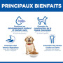 Canine Puppy Large Breed Poulet