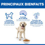Canine Adult Light Large Breed Poulet