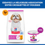 Chien Mature Adult 7+ Small & Mini Boeuf Boîte