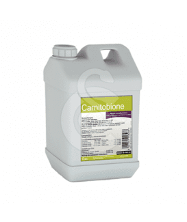 Carnitobione