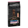 Pro Plan Dog Large Athlétic Puppy Sensitive Skin Saumon