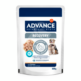 Advance Chat Chien Wet Recovery