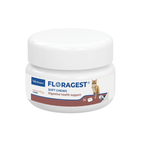 Floragest Chat