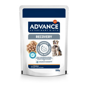 Advance Chat Chien Wet Recovery