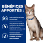 Chat k/d Kidney Mousse Saumon Boîte