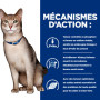 Chat k/d Kidney Mousse Poulet Boîte