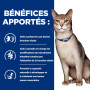 Chat k/d Kidney Mousse Poulet Boîte