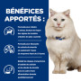 Chat c/d Urinary Stress Multicare Mousse Poulet Boîte