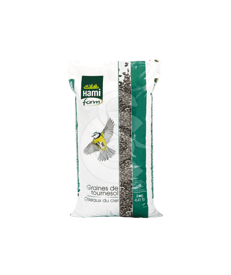 Graines de Tournesol