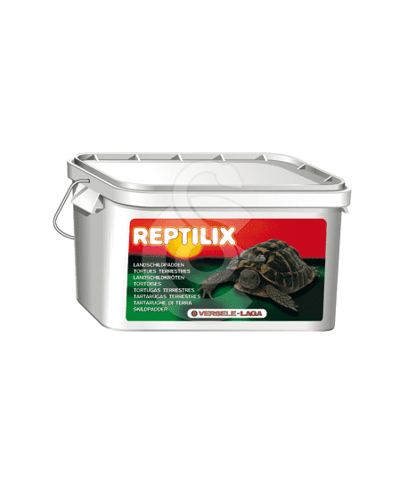Reptilix Tortues